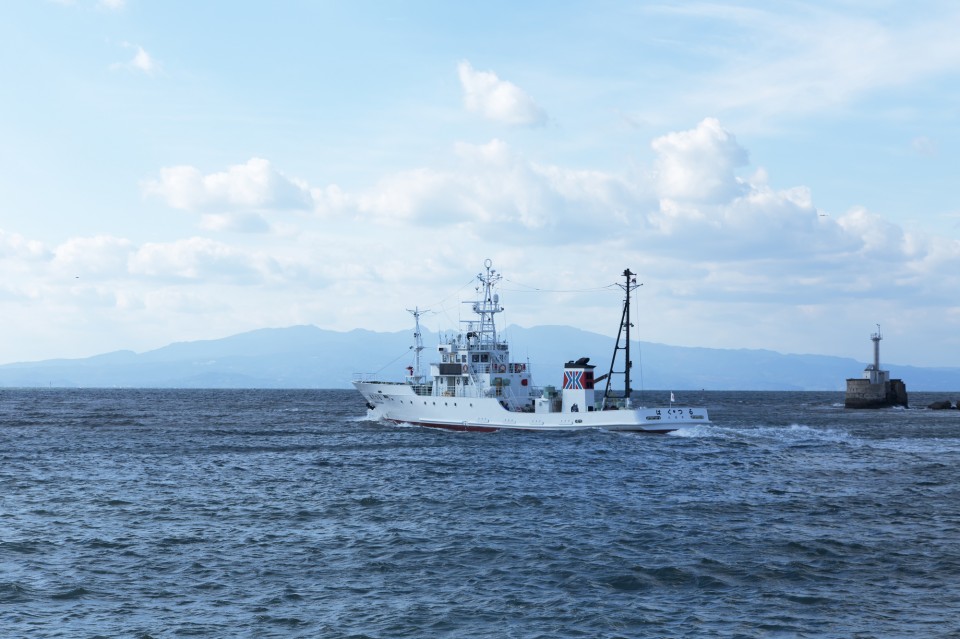 pixta_36383195_M-960x639